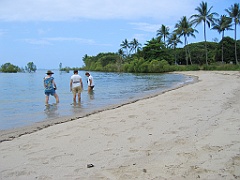 CairnsTC306 Port Douglas